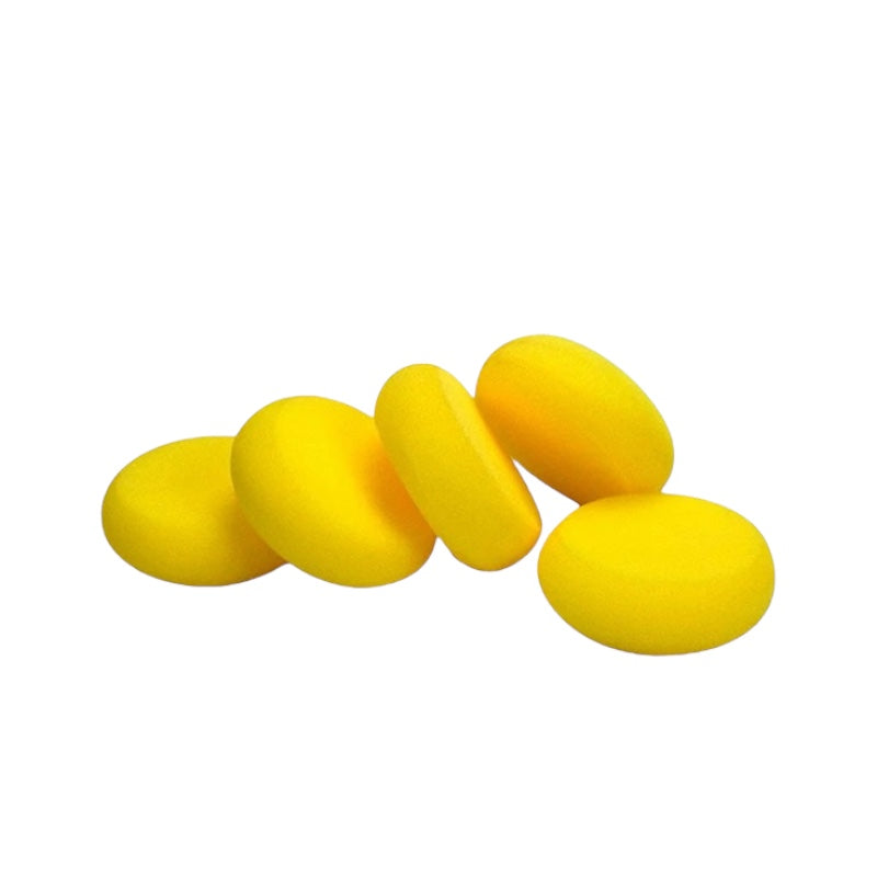 Pottery Hydra Sponge