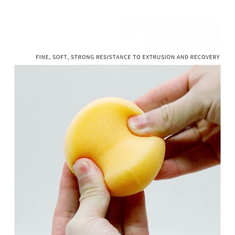Pottery Hydra Sponge