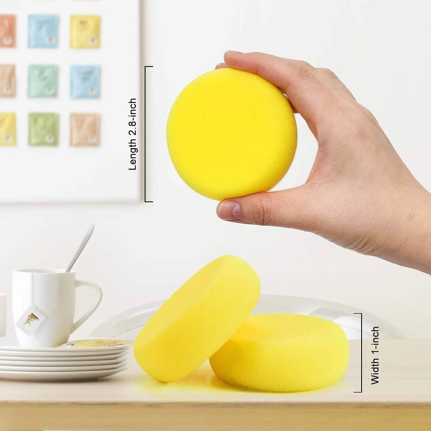 Pottery Hydra Sponge