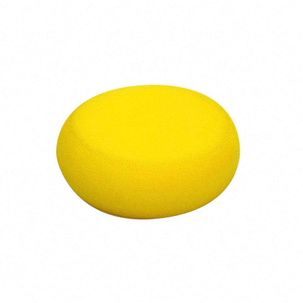Pottery Hydra Sponge