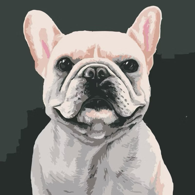 DIY Paint By Numbers - Pets Acrylic Painting Kit