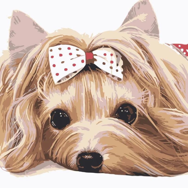 DIY Paint By Numbers - Pets Acrylic Painting Kit