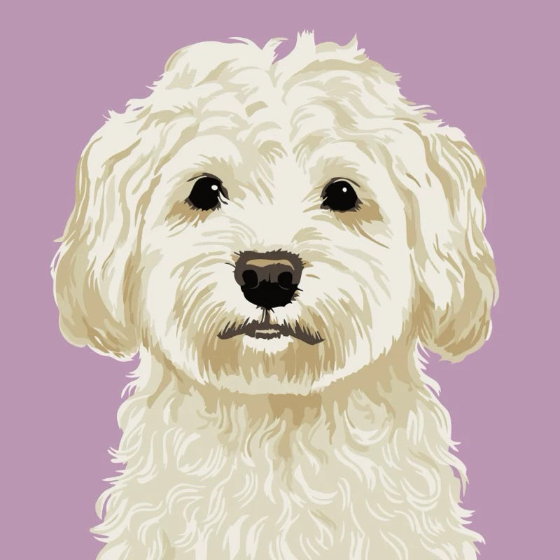 DIY Paint By Numbers - Pets Acrylic Painting Kit