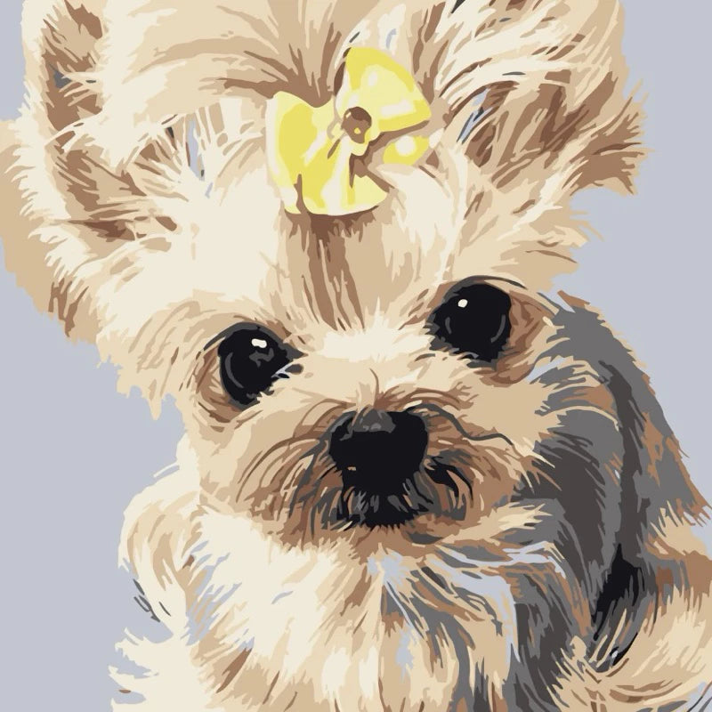 DIY Paint By Numbers - Pets Acrylic Painting Kit