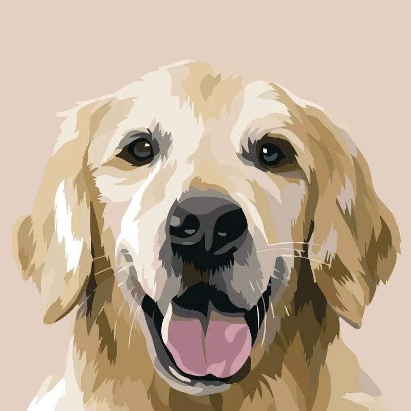 DIY Paint By Numbers - Pets Acrylic Painting Kit