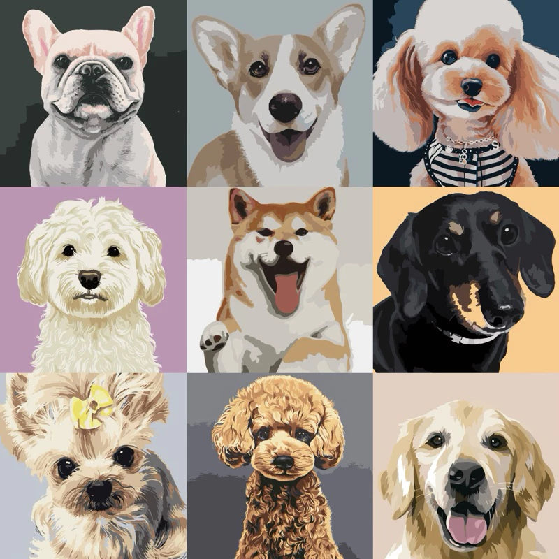 DIY Paint By Numbers - Pets Acrylic Painting Kit