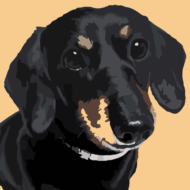 DIY Paint By Numbers - Pets Acrylic Painting Kit