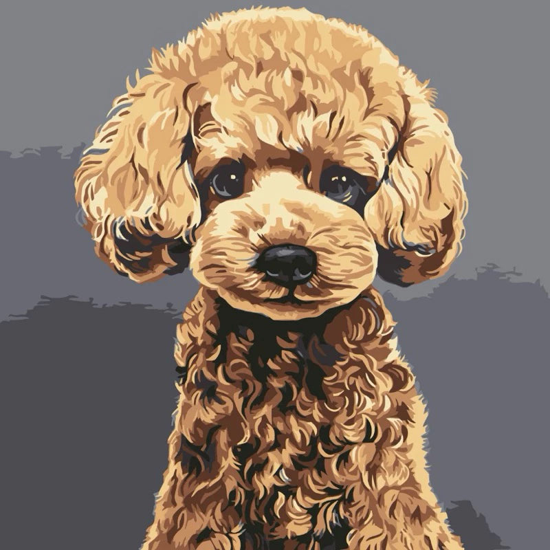 DIY Paint By Numbers - Pets Acrylic Painting Kit